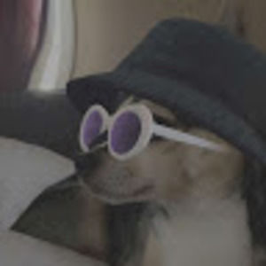 Meet your Posher, The life inside of